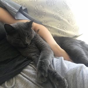 Meet your Posher, Tasha